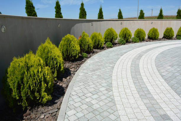 Best Driveway Pavers Near Me  in Black Mountain, NC